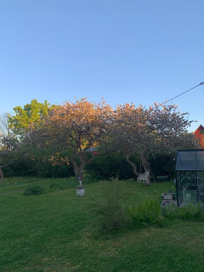 Martebo Bed & Breakfast Tingstade ภายนอก รูปภาพ